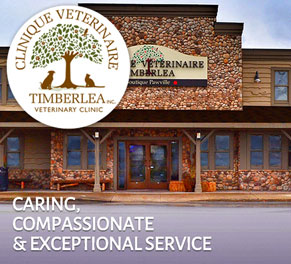 Timberlea Veterinary Clinic